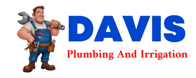 Trusted plumber in SEIBERT